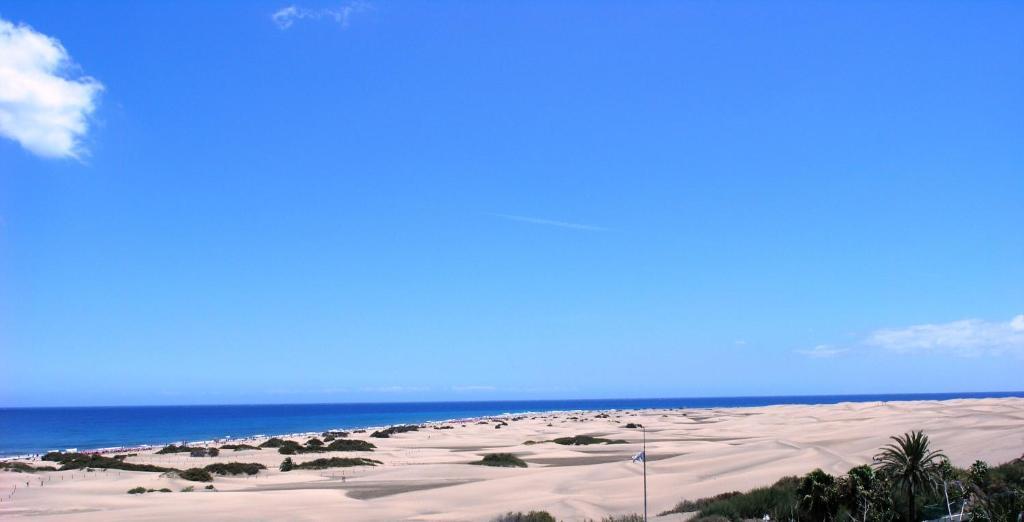 Alsol Patricio Appartement